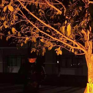 解剖（prod.FRESH_ye）