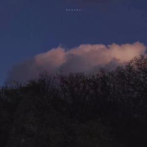 为什么不选择留在我身边