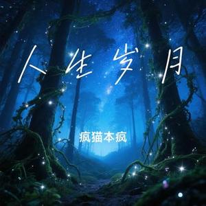 人生岁月