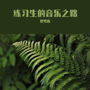 天山的女孩一朵花