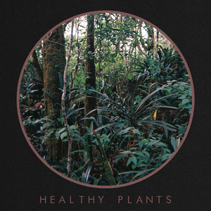 Healthy Plants