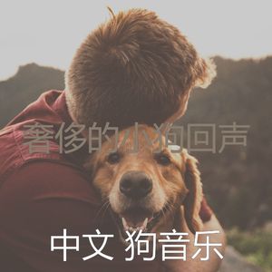 微妙的幼犬心情