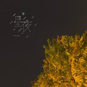 星夜
