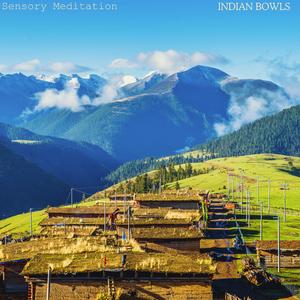 Pure Shruti Vox (feat. Randy Divine, Alma Lin, Nina Nalo, Flame Timo & Jasper Whisper)