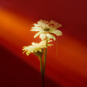 你住的城市有我的影子吗