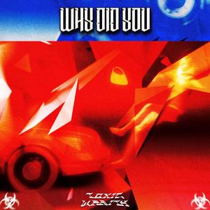 Why Did You
