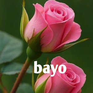 Bayo