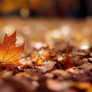 我们爱情在海滩上