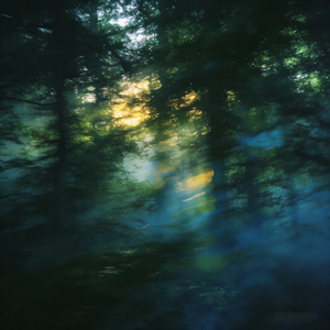 让生命回归生命