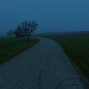 我惜君时君不知