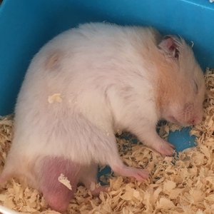 漂洋过海来看你！