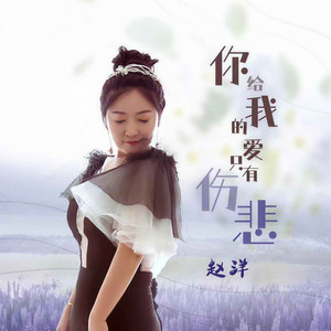 你给我的爱只有伤悲
