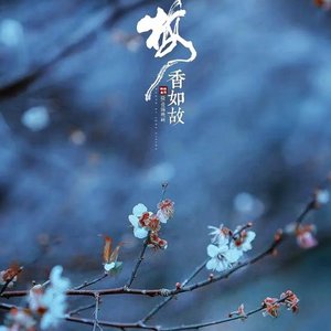 梅香如故(cover:谭晶）
