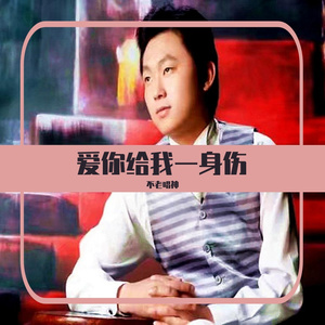 爱你给我一身伤