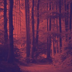 诗意的在家休息节奏