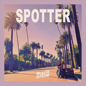 Spotter