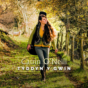 Tyddyn Y Gwin