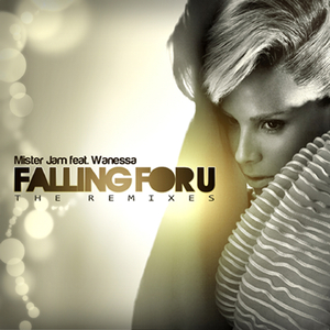 Falling for U (Allan Natal Remix)