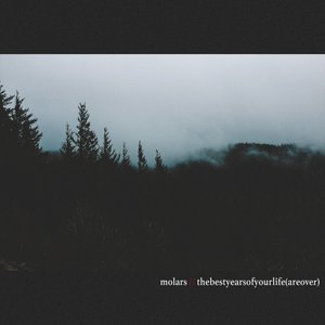 Thebestyearsofyourlife (Areover)