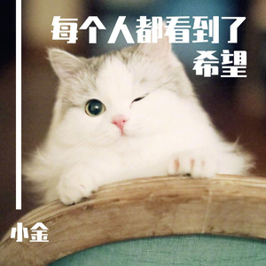 每个人都看到了希望