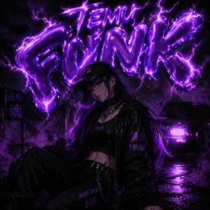 Temu FUNK
