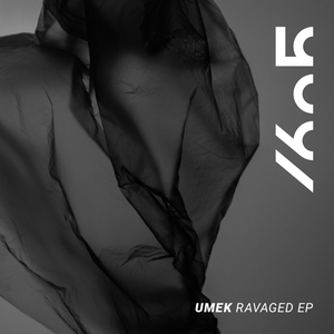 Ravaged (Original Mix)