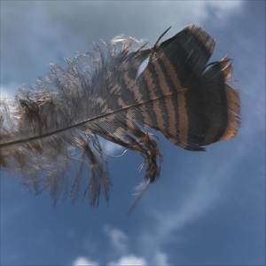 Riding with the Wind