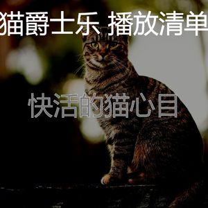 微妙的小猫心情