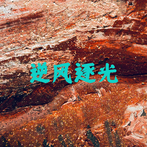逆风逐光