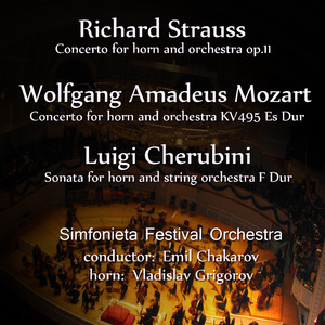 Horn Concerto No1 in E-Flat major, Op.11: Allegro-Andante-Allegro