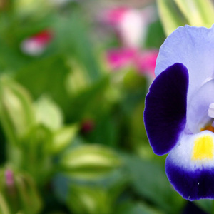 We Are Made For Each Other