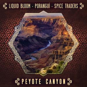Peyote Canyon (Ancestral Elephants Remix)
