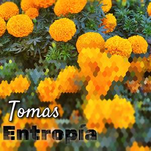 Entropía