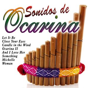 Killing Me Softly with His Song