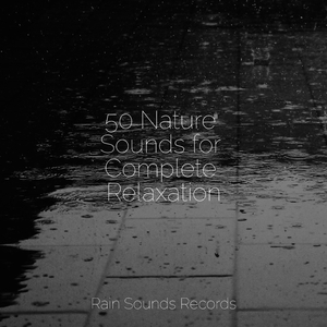 Tranquil Stream Dances Softly