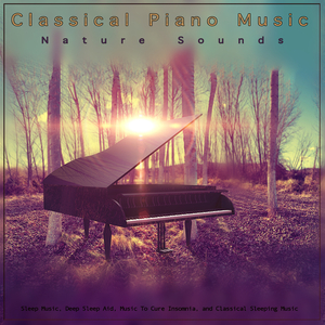 Sugar Plum Fairy - Tchaikovsky - Classical Piano - Classical Sleeping Music and Nature Sounds - Classical Music