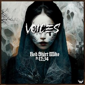Voices (feat. 12:34)