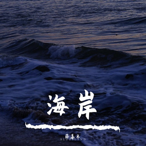 海岸（cover：高珊）