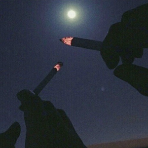 i'm not going anywhere