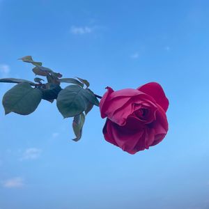 不存在的空间（prod by Lyoung）