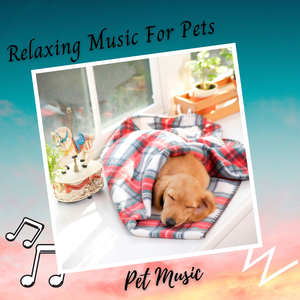 Music For Dogs