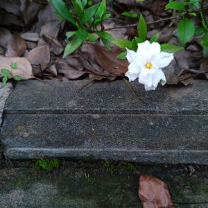 知秋_mastered