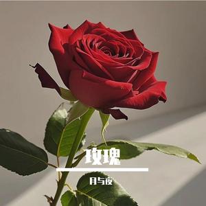 玫瑰 伴奏