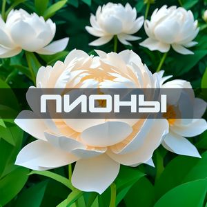 ПИОНЫ