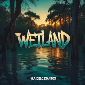 Wetland