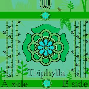Triphylla B side