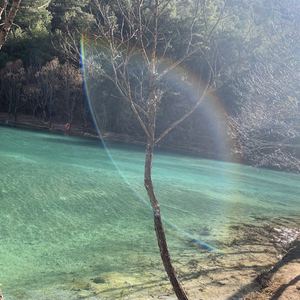 大理的风吹不到广东