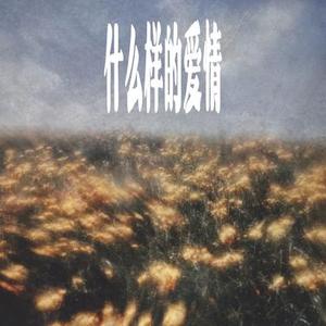 什么样的爱情