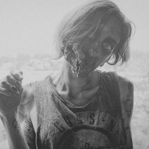 plants vs zombs (Lo-fi)