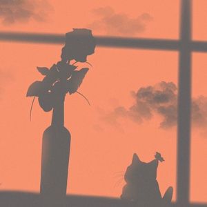 女儿心如水（Live）